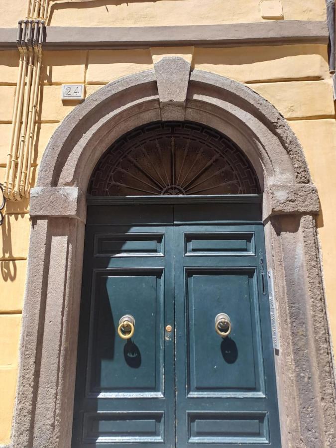 Ag Guest House فِتيربو المظهر الخارجي الصورة